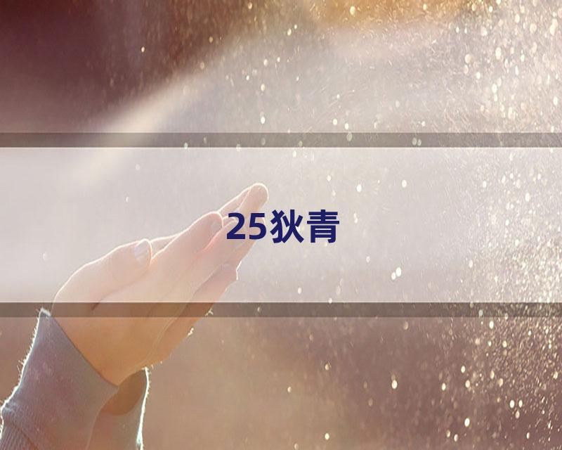 25狄青