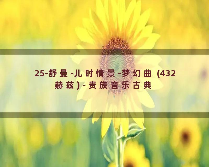 25-舒曼-儿时情景-梦幻曲 (432赫兹) - 贵族音乐古典