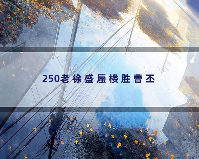 250老徐盛蜃楼胜曹丕