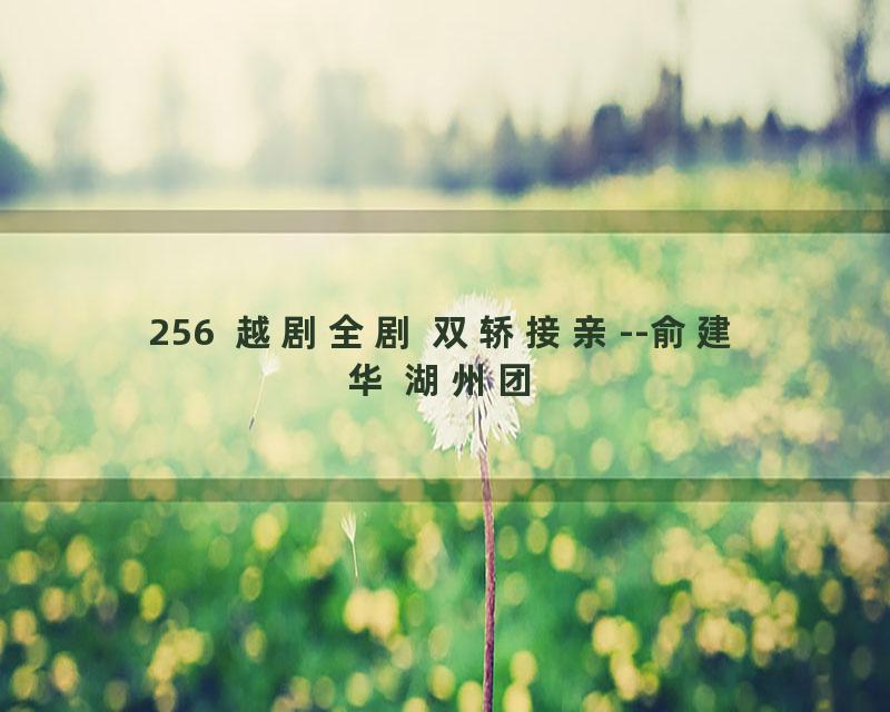 256  越剧全剧 双轿接亲--俞建华 湖州团