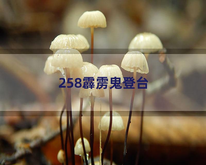 258霹雳鬼登台