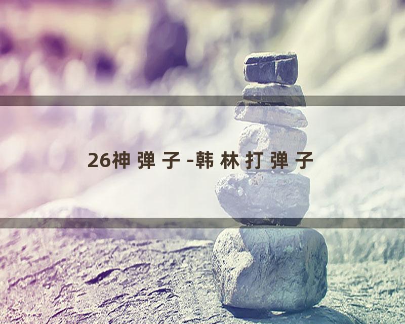 26神弹子-韩林打弹子