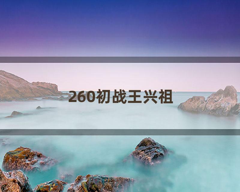 260初战王兴祖