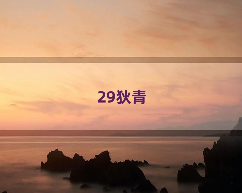 29狄青