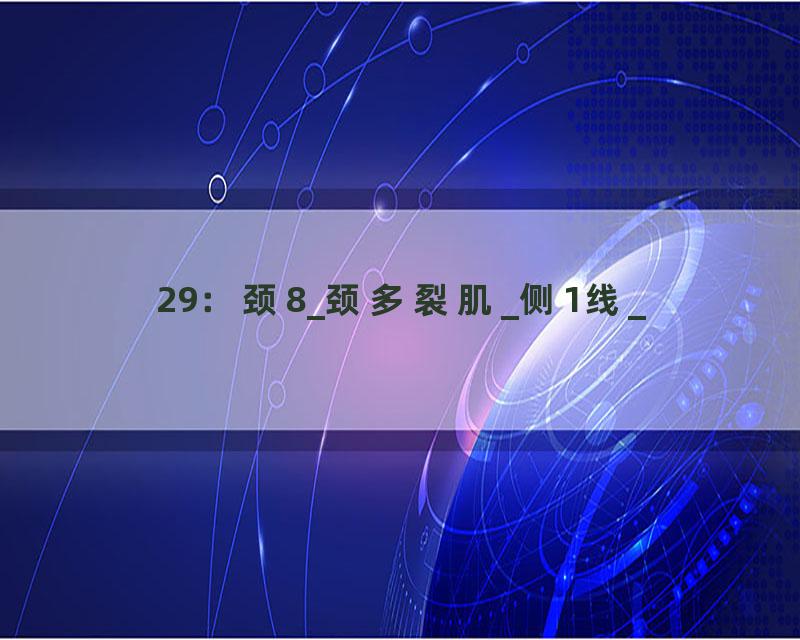 29：颈8_颈多裂肌_侧1线_