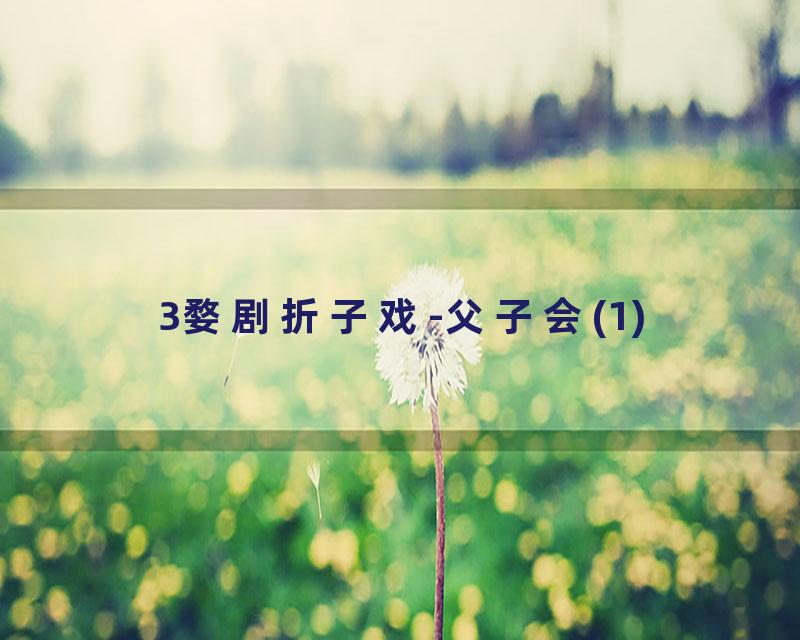 3婺剧折子戏-父子会(1)