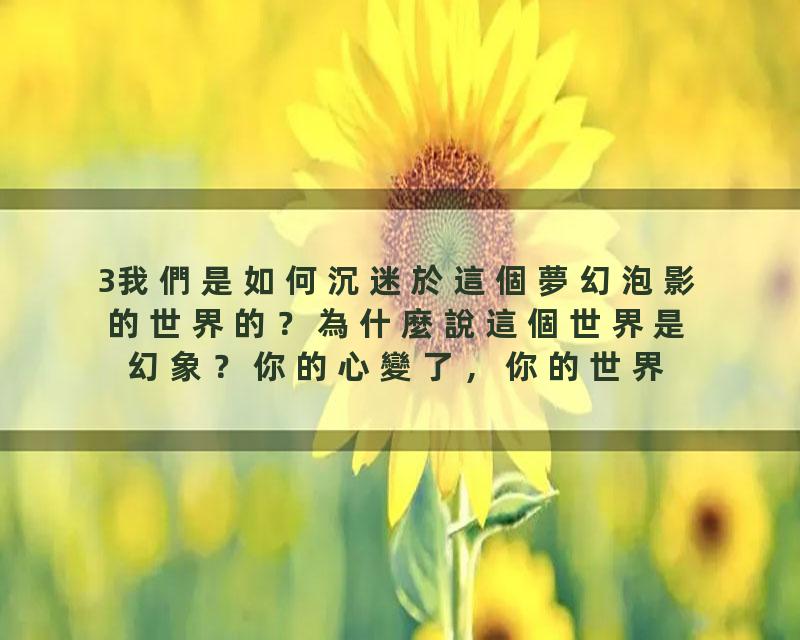 3我們是如何沉迷於這個夢幻泡影的世界的？為什麼說這個世界是幻象？你的心變了，你的世界就變了！