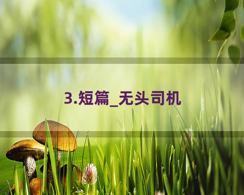 3.短篇_无头司机