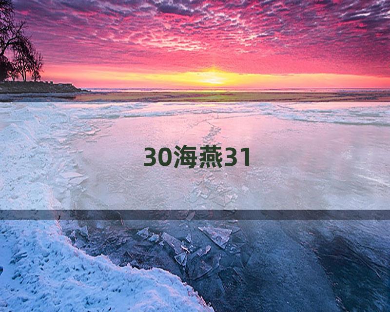 30海燕31