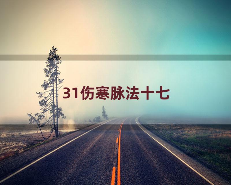 31伤寒脉法十七