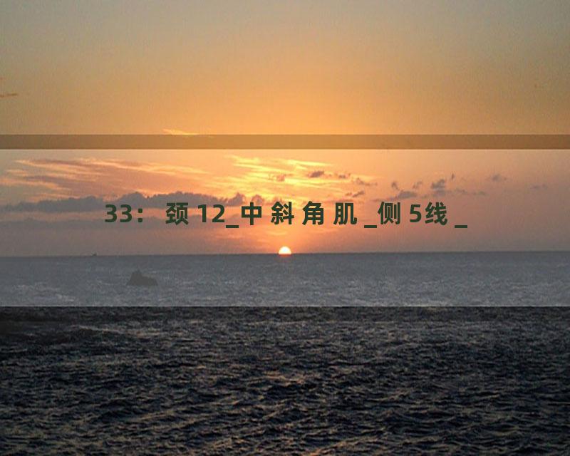 33：颈12_中斜角肌_侧5线_