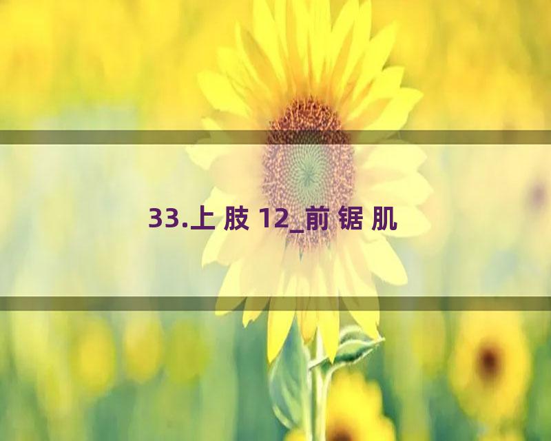33.上肢12_前锯肌