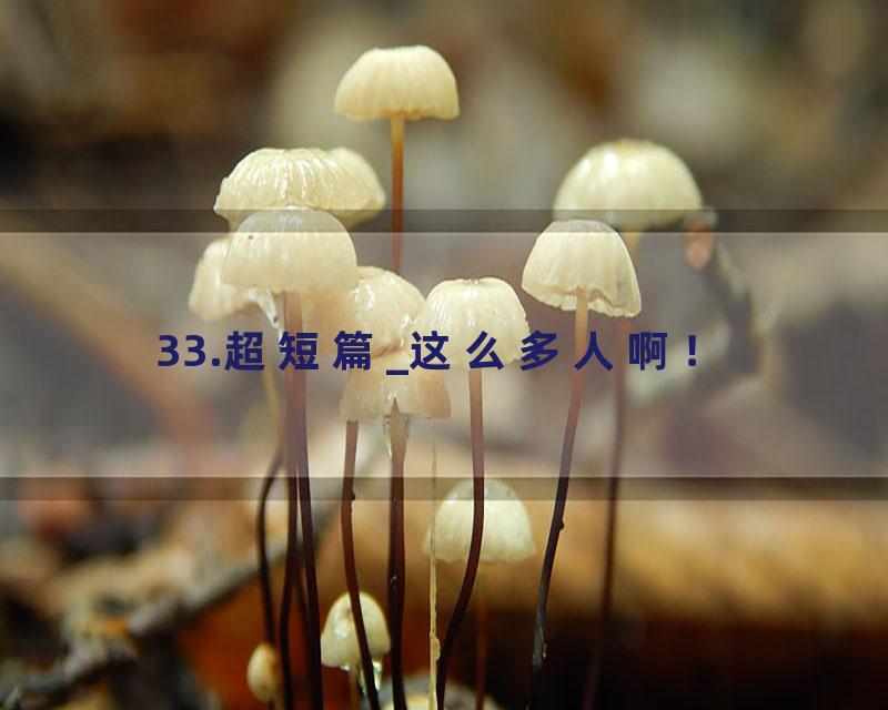 33.超短篇_这么多人啊！