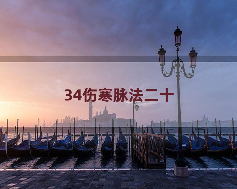 34伤寒脉法二十