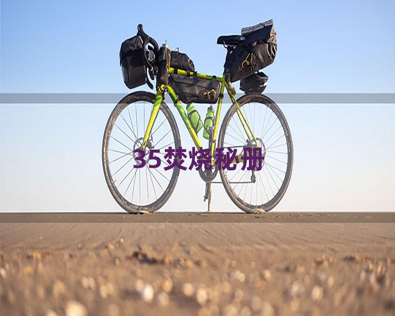 35焚烧秘册