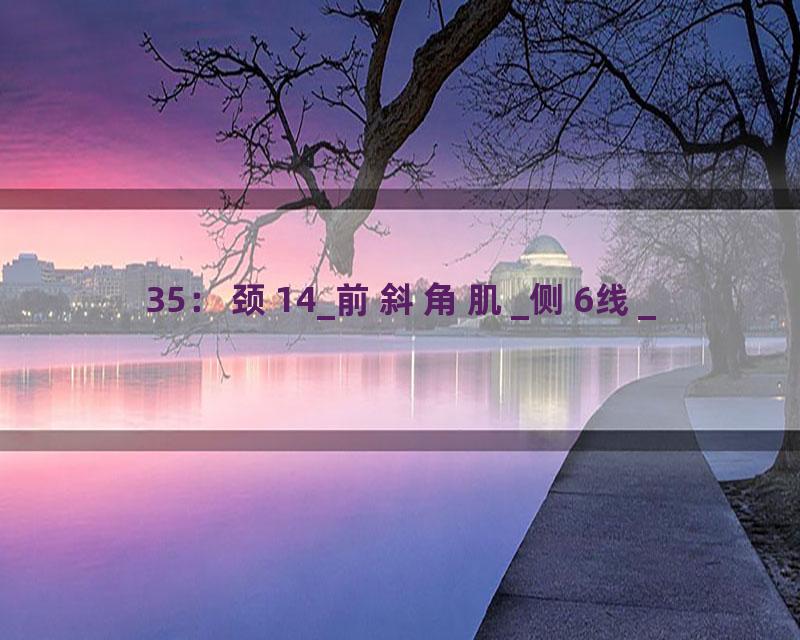 35：颈14_前斜角肌_侧6线_