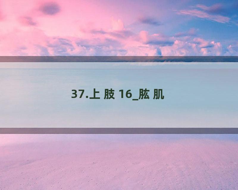 37.上肢16_肱肌
