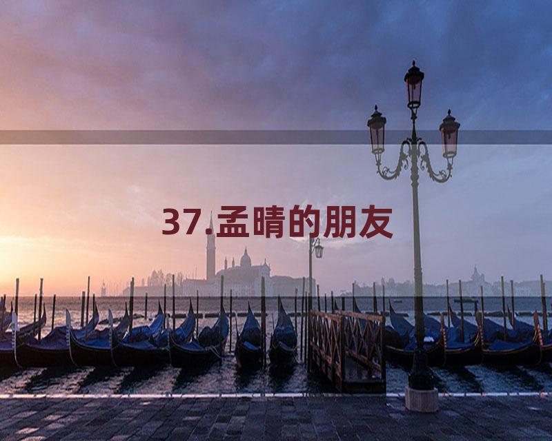37.孟晴的朋友