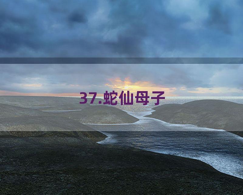 37.蛇仙母子