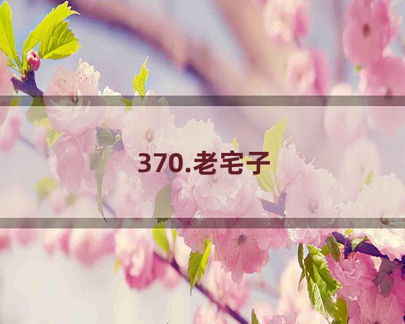 370.老宅子