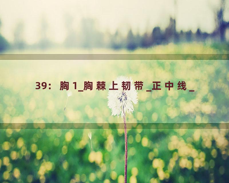 39：胸1_胸棘上韧带_正中线_
