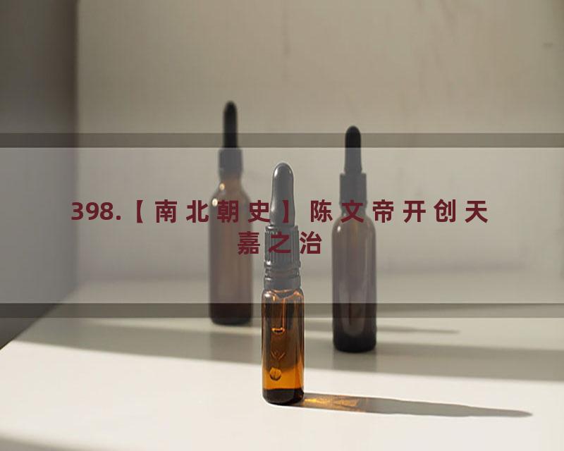 398.【南北朝史】陈文帝开创天嘉之治