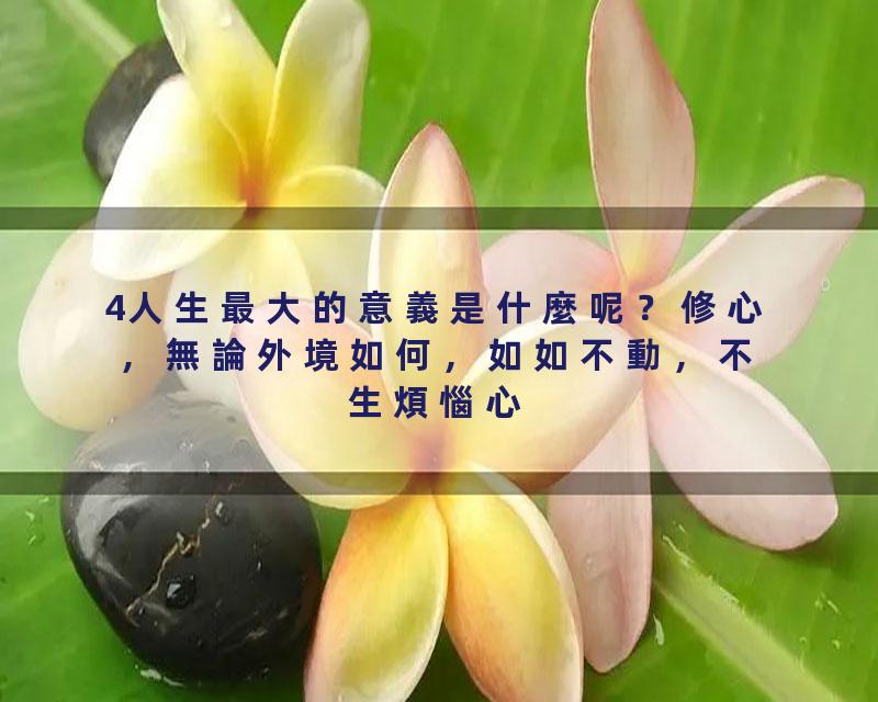 4人生最大的意義是什麼呢？修心，無論外境如何，如如不動，不生煩惱心