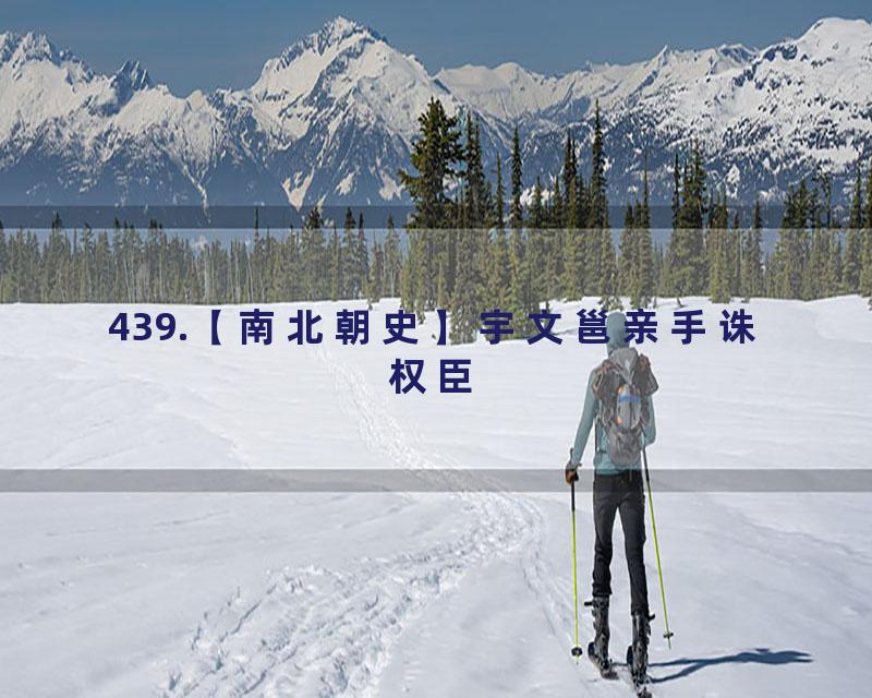 439.【南北朝史】宇文邕亲手诛权臣