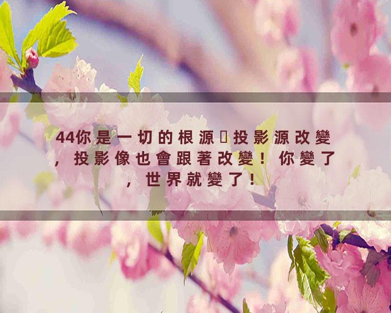 44你是一切的根源投影源改變，投影像也會跟著改變！你變了，世界就變了！