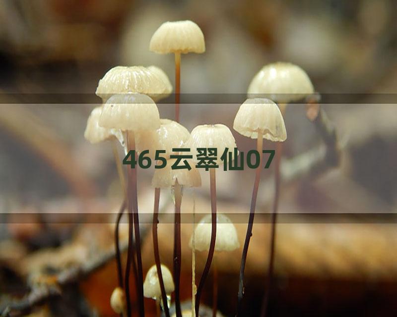 465云翠仙07