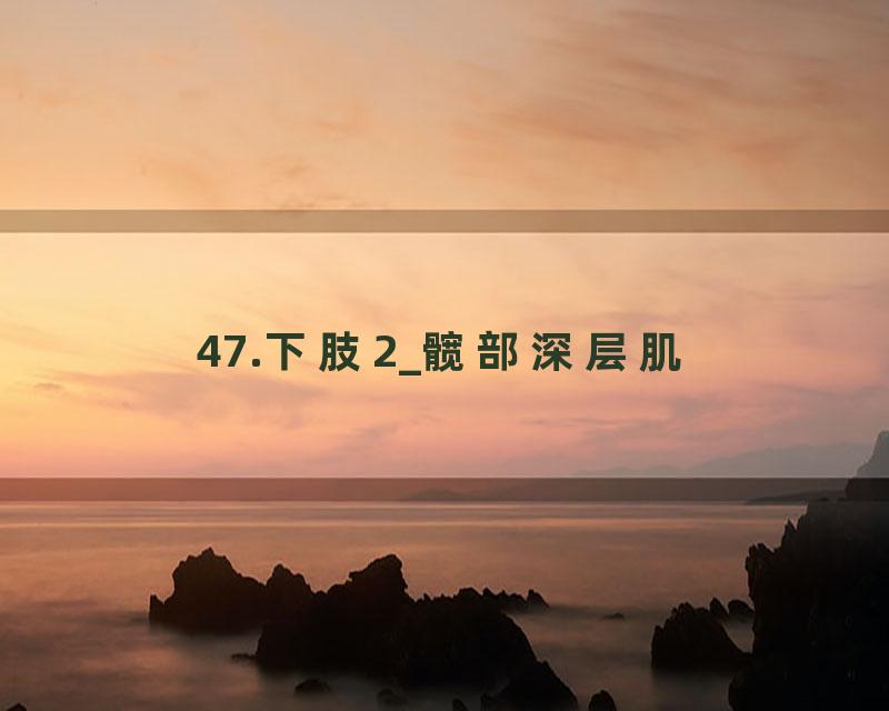 47.下肢2_髋部深层肌