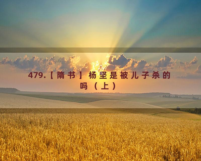 479.【隋书】杨坚是被儿子杀的吗（上）