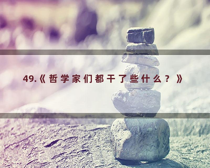 49.《哲学家们都干了些什么？》
