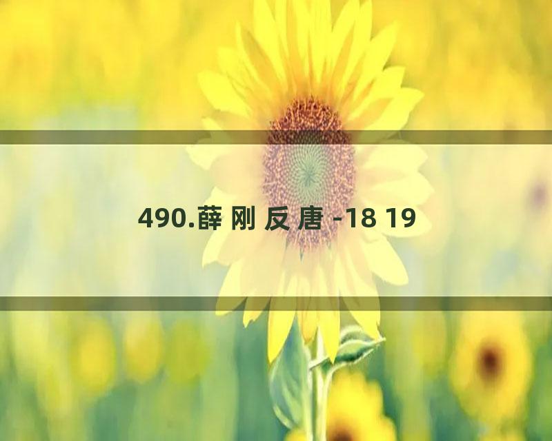 490.薛刚反唐-18 19