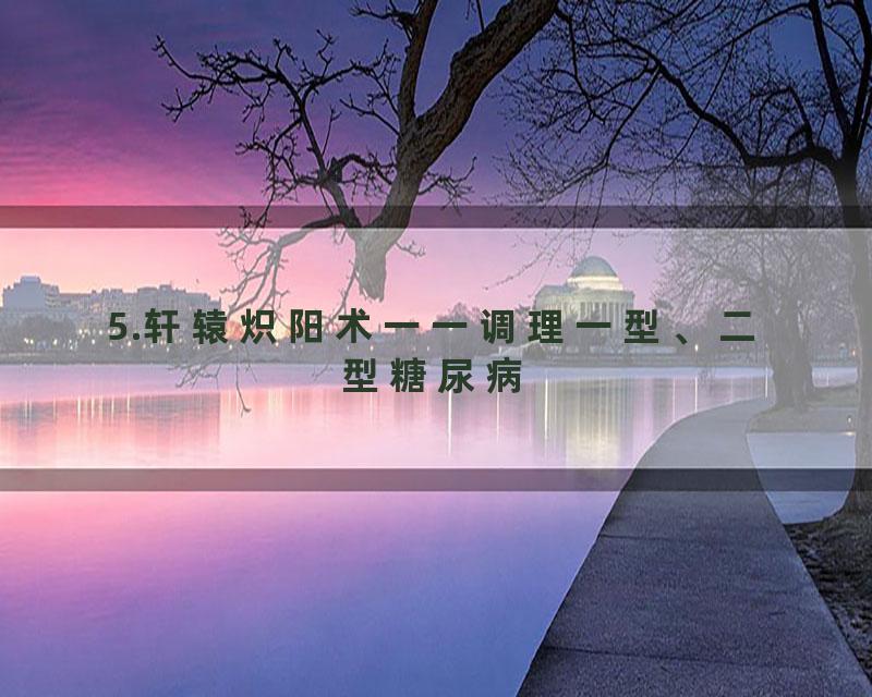 5.轩辕炽阳术一一调理一型、二型糖尿病