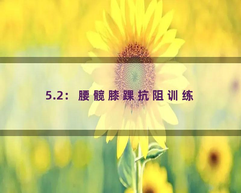 5.2：腰髋膝踝抗阻训练