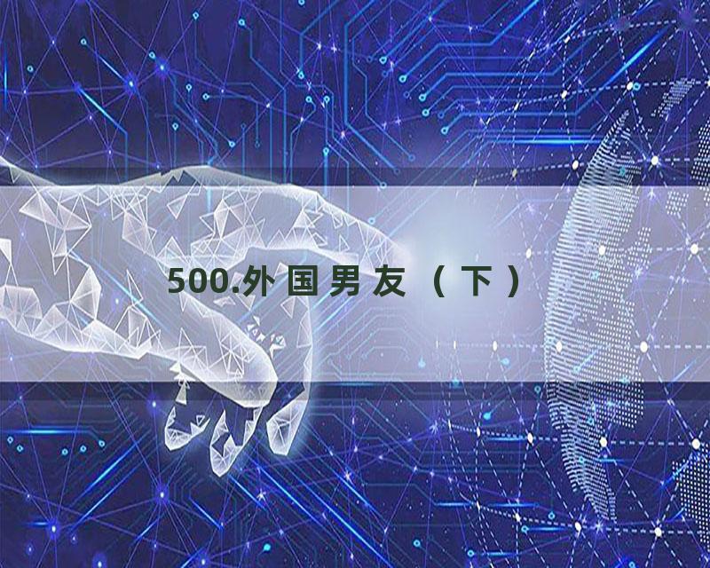 500.外国男友（下）