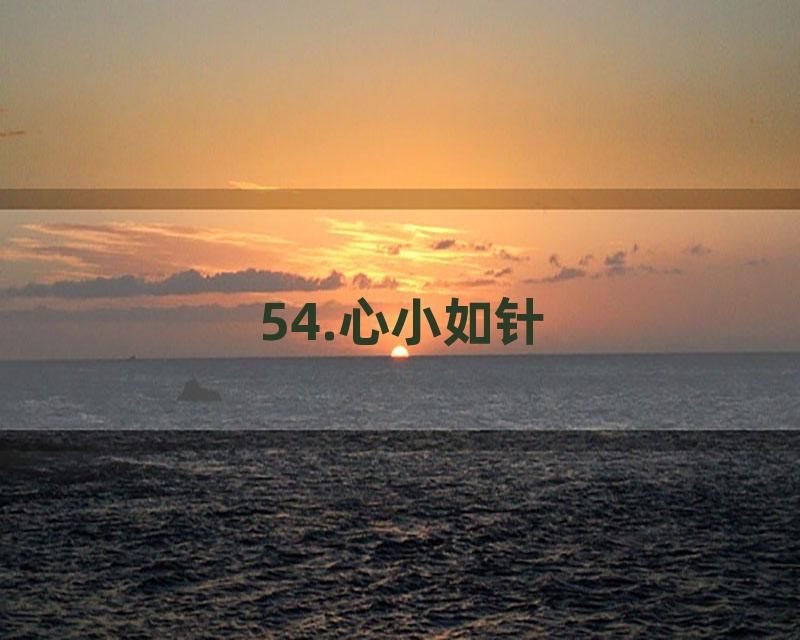 54.心小如针
