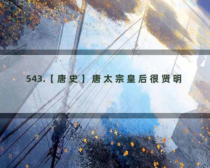 543.【唐史】唐太宗皇后很贤明