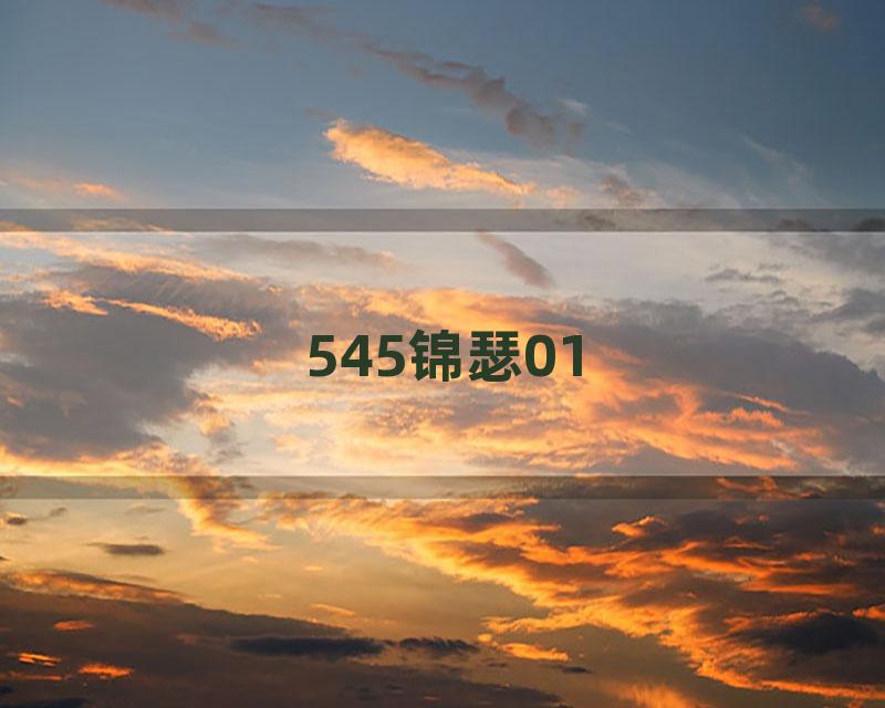545锦瑟01