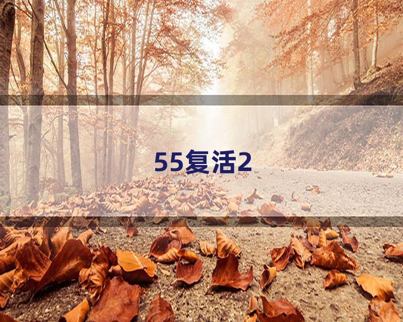 55复活2