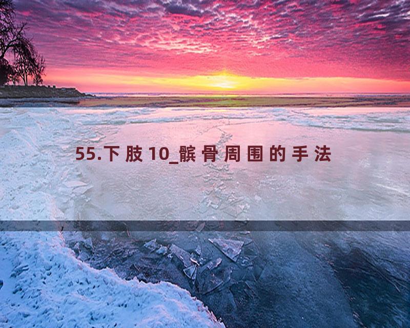 55.下肢10_髌骨周围的手法