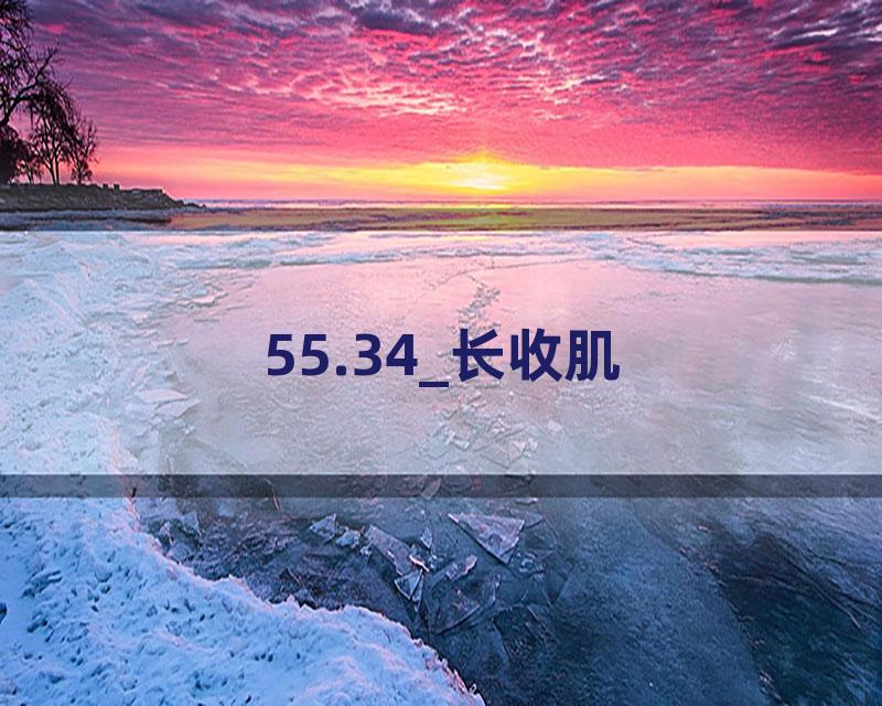 55.34_长收肌