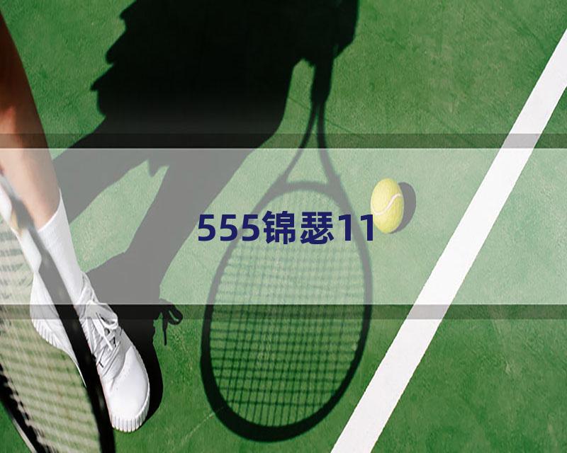 555锦瑟11
