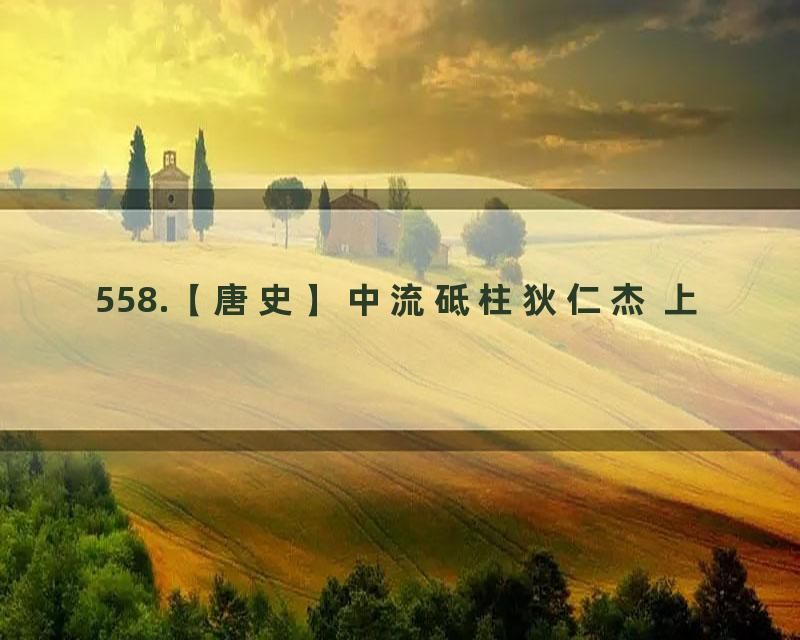 558.【唐史】中流砥柱狄仁杰 上