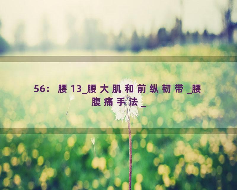56：腰13_腰大肌和前纵韧带_腰腹痛手法_