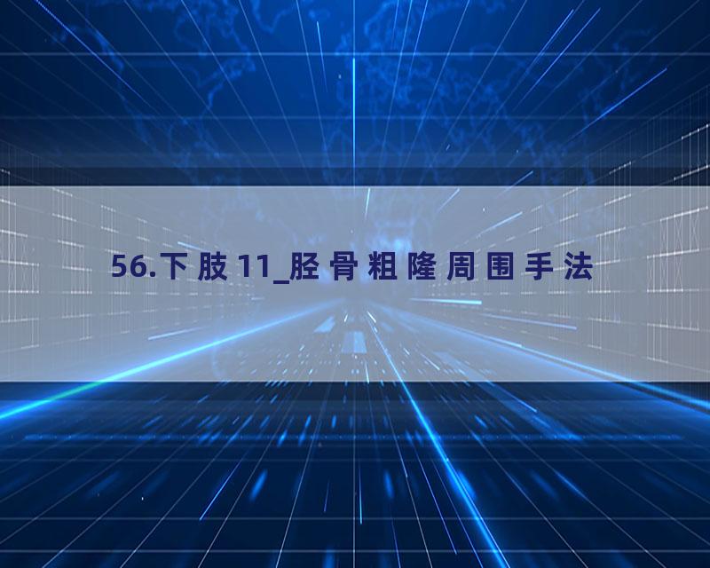 56.下肢11_胫骨粗隆周围手法
