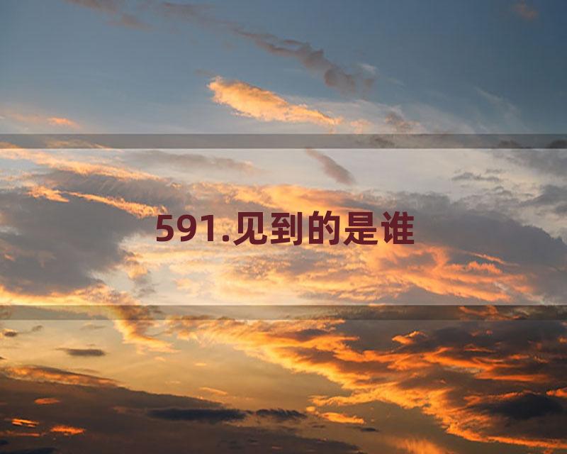 591.见到的是谁