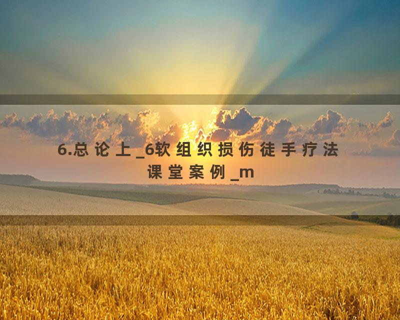 6.总论上_6软组织损伤徒手疗法课堂案例_m