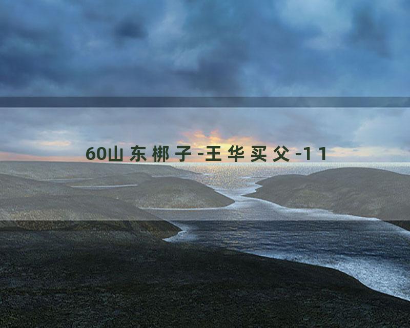 60山东梆子-王华买父-1 1